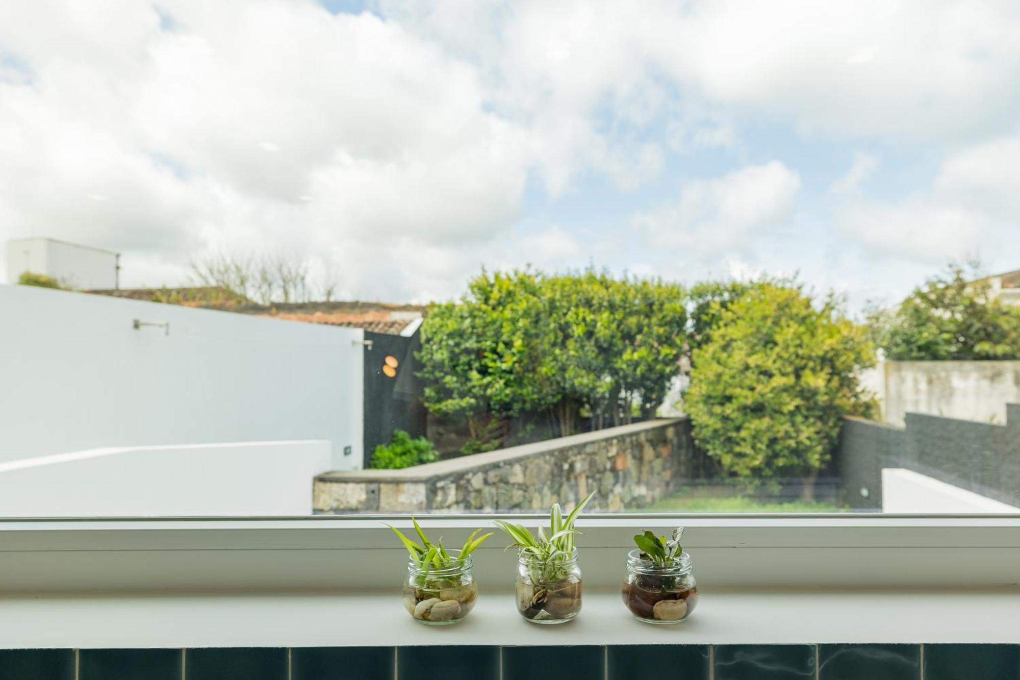 Xª Deluxe Apartments Ribeira Grande Luaran gambar